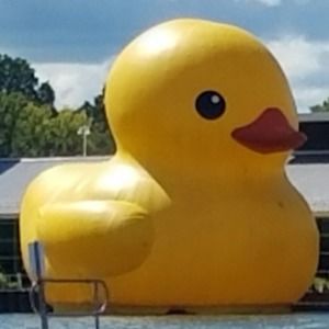 Meet your Posher, Unicorn